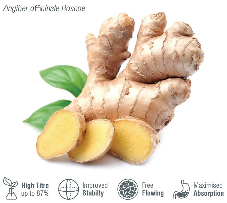 Microcapsules containing Ginger essential oil
