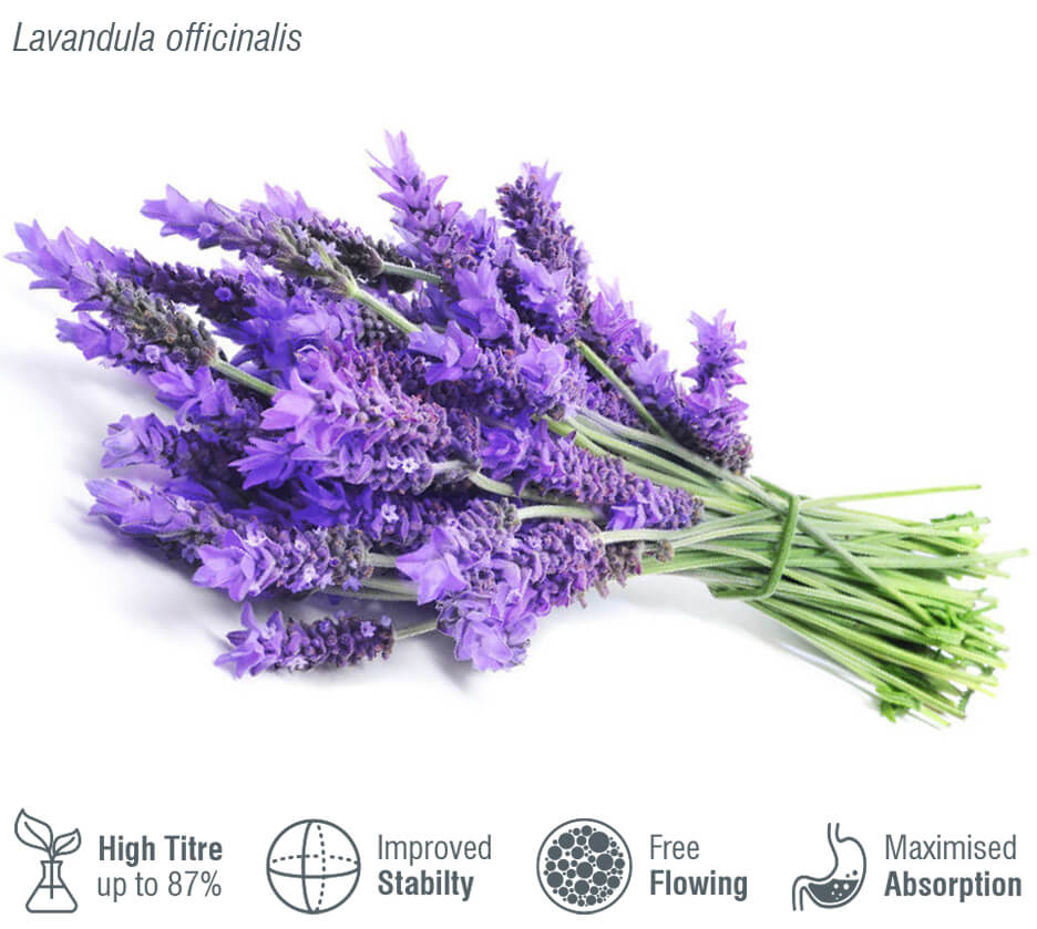 Microcapsules containing lavender essential oil